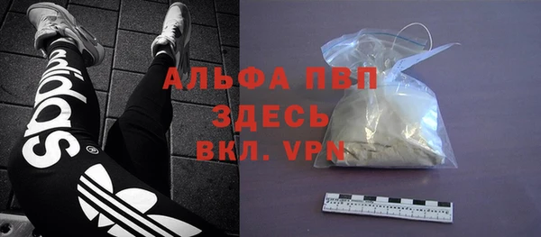 стафф Тутаев