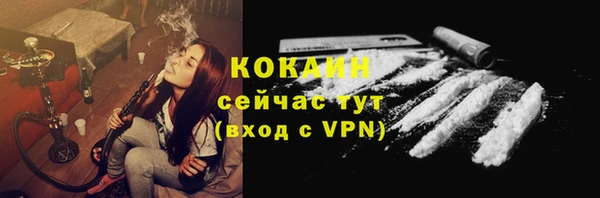 соль ск Туринск