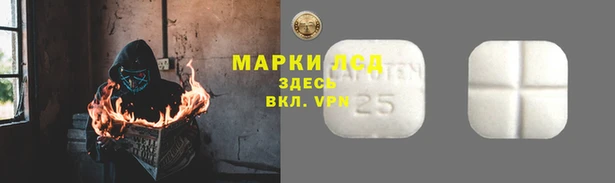 соль ск Туринск
