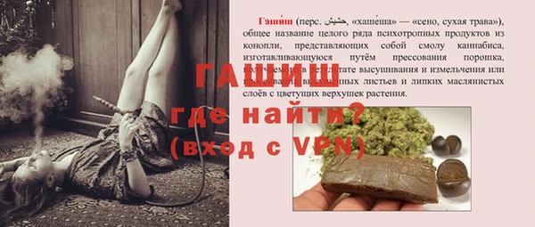 стафф Тутаев