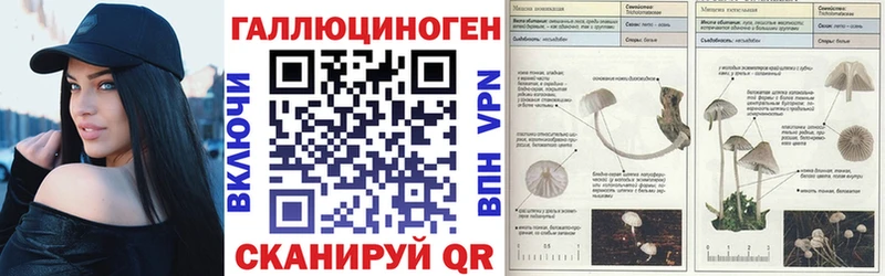Галлюциногенные грибы Cubensis Пушкино