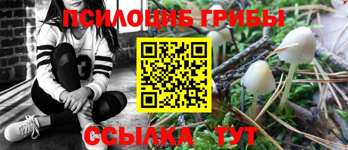 Галлюциногенные грибы Magic Shrooms  Галлюциногенные грибы прущие грибы  Пушкино 