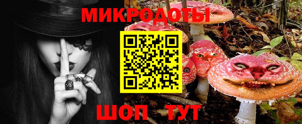 Псилоцибиновые грибы ЛСД  Вход с VPN  Галлюциногенные грибы Magic Shrooms  где купить наркотик  Пушкино 