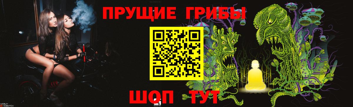 Псилоцибиновые грибы прущие грибы Пушкино